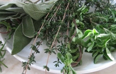 Μόνο σε ένα ελληνικό βουνό υπάρχουν 3000 βότανα, περισσότερα απ’ ότι σε όλη την Ευρώπη